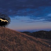 Predstavljen projekt planinarskog skloništa na Učki